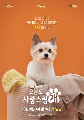 A Good Day To Be A Dog,犬系恋人(港)封面图